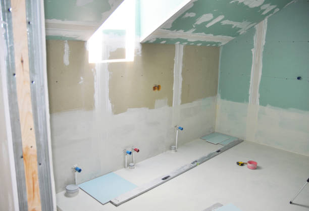 Best Water-Damaged Drywall Repair  in Vienna, IL